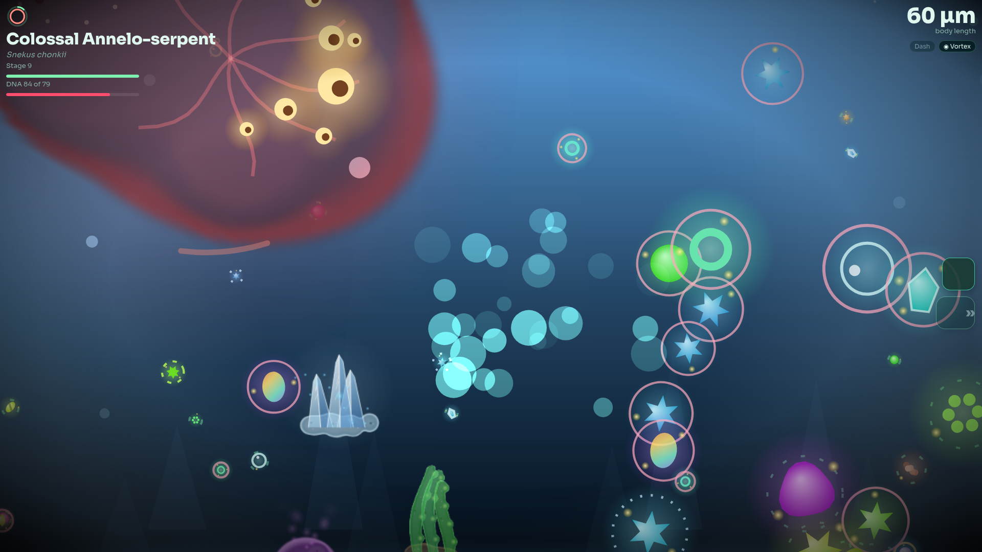 GLOB gameplay: choosing a new form at a metamorphosis